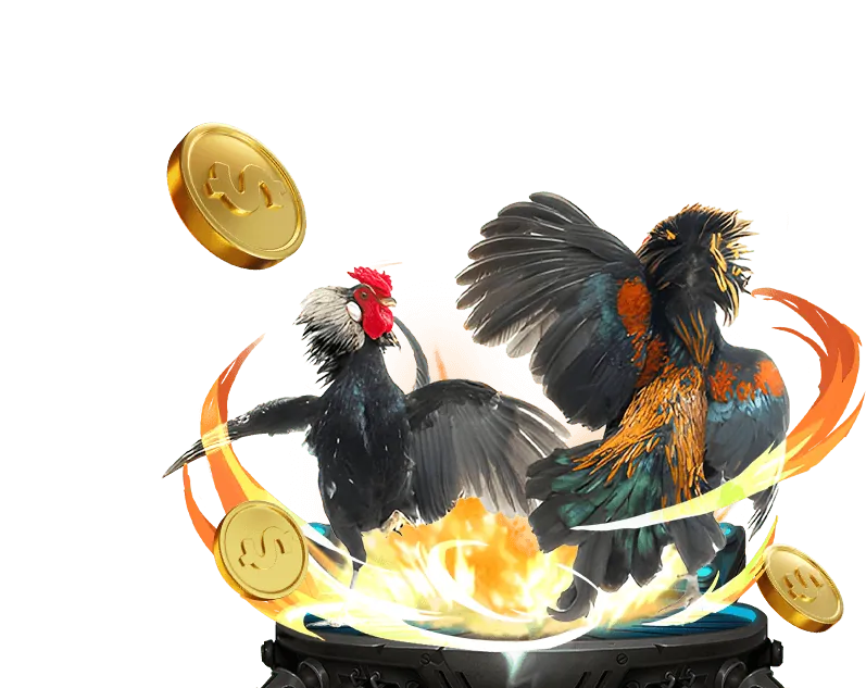 An toàn và Bảo mật thông tin người dùng trực tiếp đá gà tv