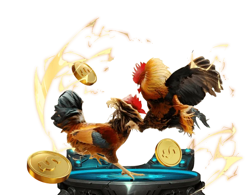 Hình ảnh minh họa lý do chọn trực tiếp đá gà tv, như dịch vụ tốt và ưu đãi hấp dẫn